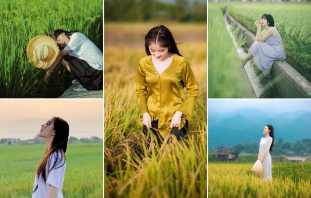 Concept-chup-anh-canh-dong-lua