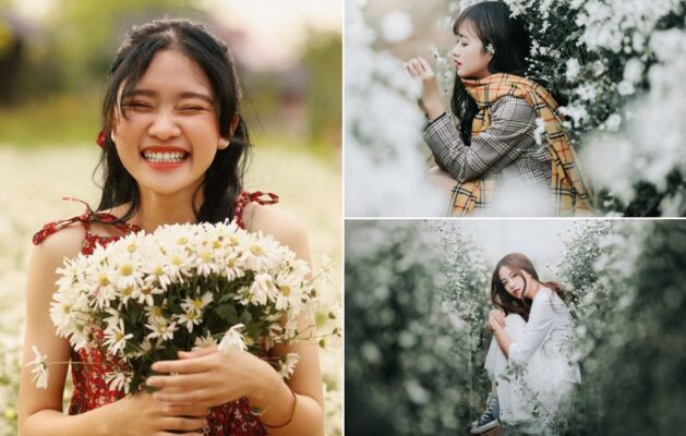 chup-anh-voi-cuc-hoa-mi