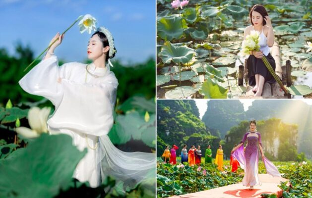 tao-dang-tu-the-chup-anh-voi-hoa-sen